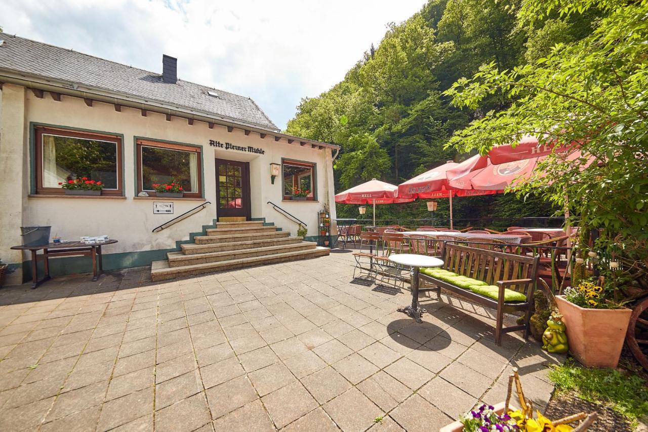 Ferienwohnung "Alte Pleiner Muehle" Экстерьер фото
